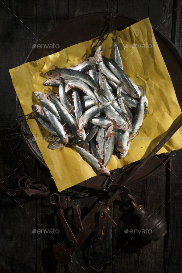 Raw anchovies in a flat scale Stock Photo by fotografiche PhotoDune